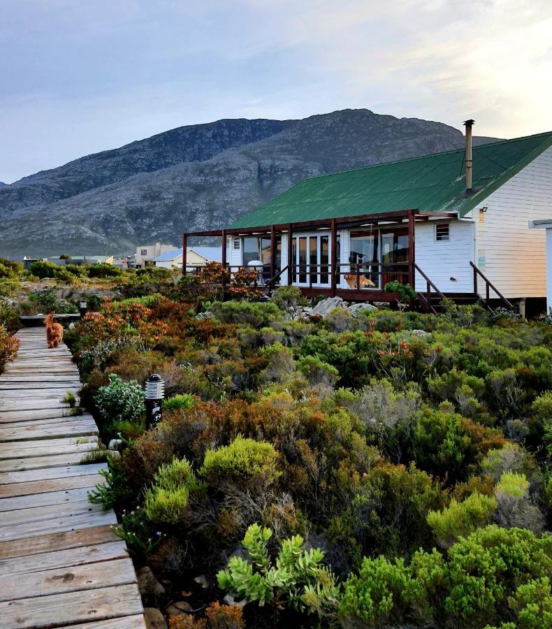 Brandys Beach House Bettyʼs Bay Exteriér fotografie