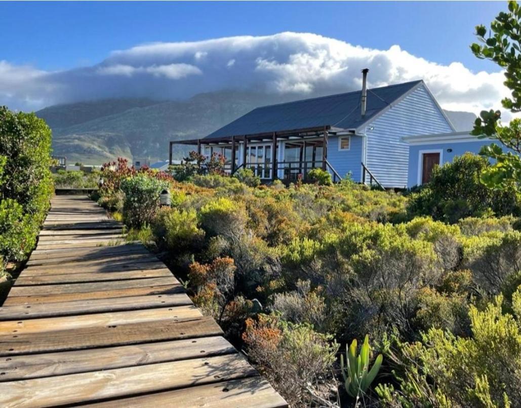 Brandys Beach House Bettyʼs Bay Exteriér fotografie