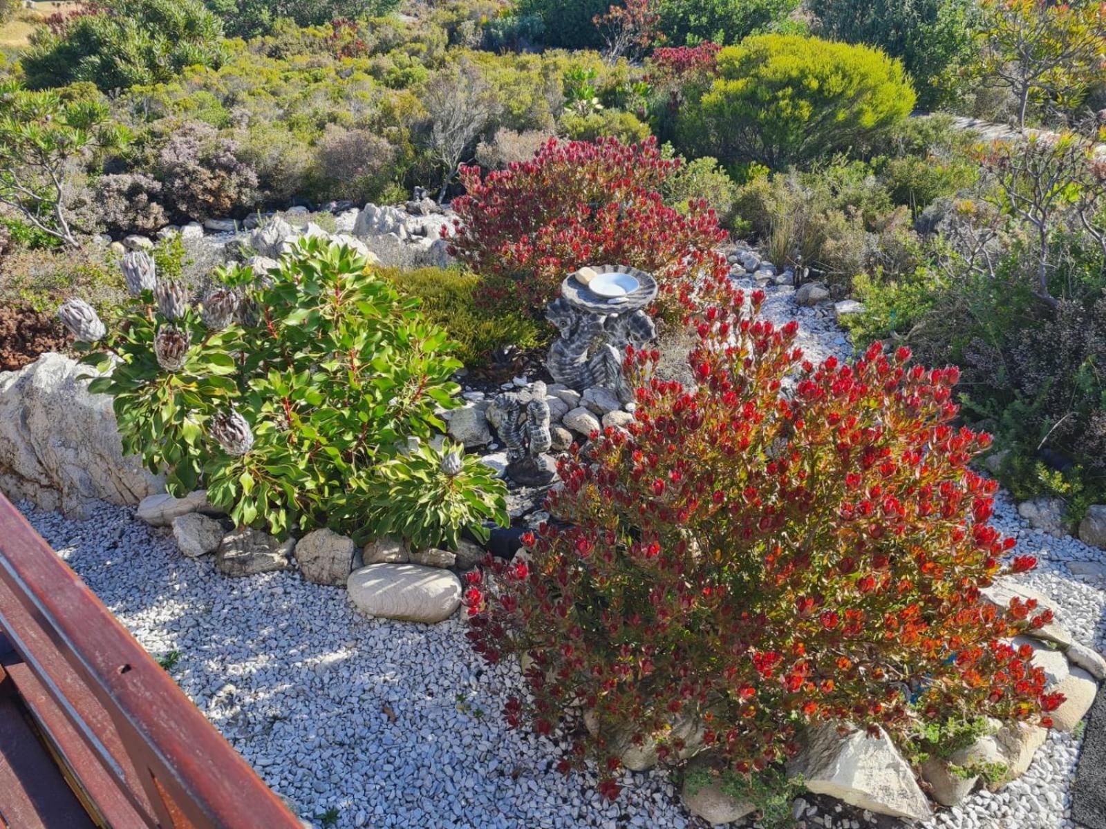 Brandys Beach House Bettyʼs Bay Exteriér fotografie